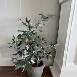 Faux Threshold Olive Plant