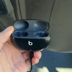 Beats Earbuds