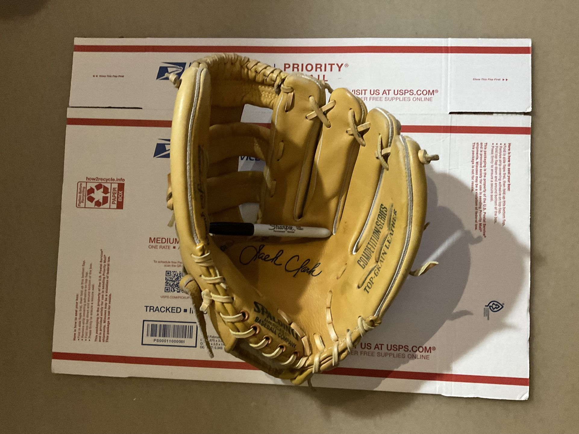 Baseball Glove Adult