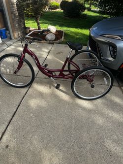 Mendelian Schwinn tricycle