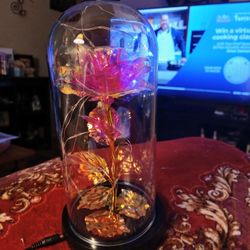 Beautiful Roses Lit Up The Have Settings To Blink 20.00 EACH 