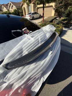Q50 Carbon Homeycomb Spoiler