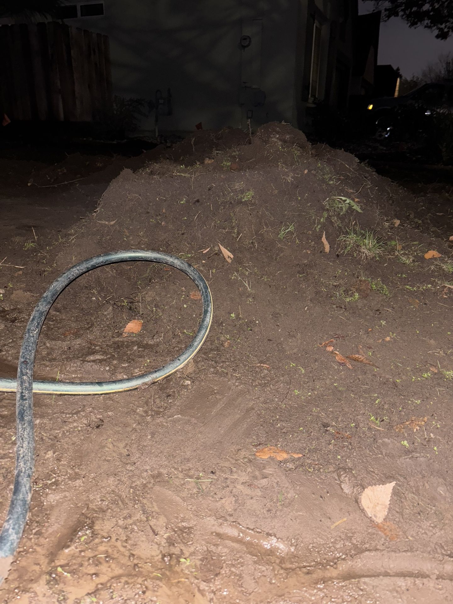 Free Dirt Free FILING