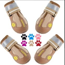 Zapato 👟 para perritos