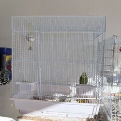Bird Cage