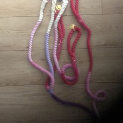 Pet Accessories 