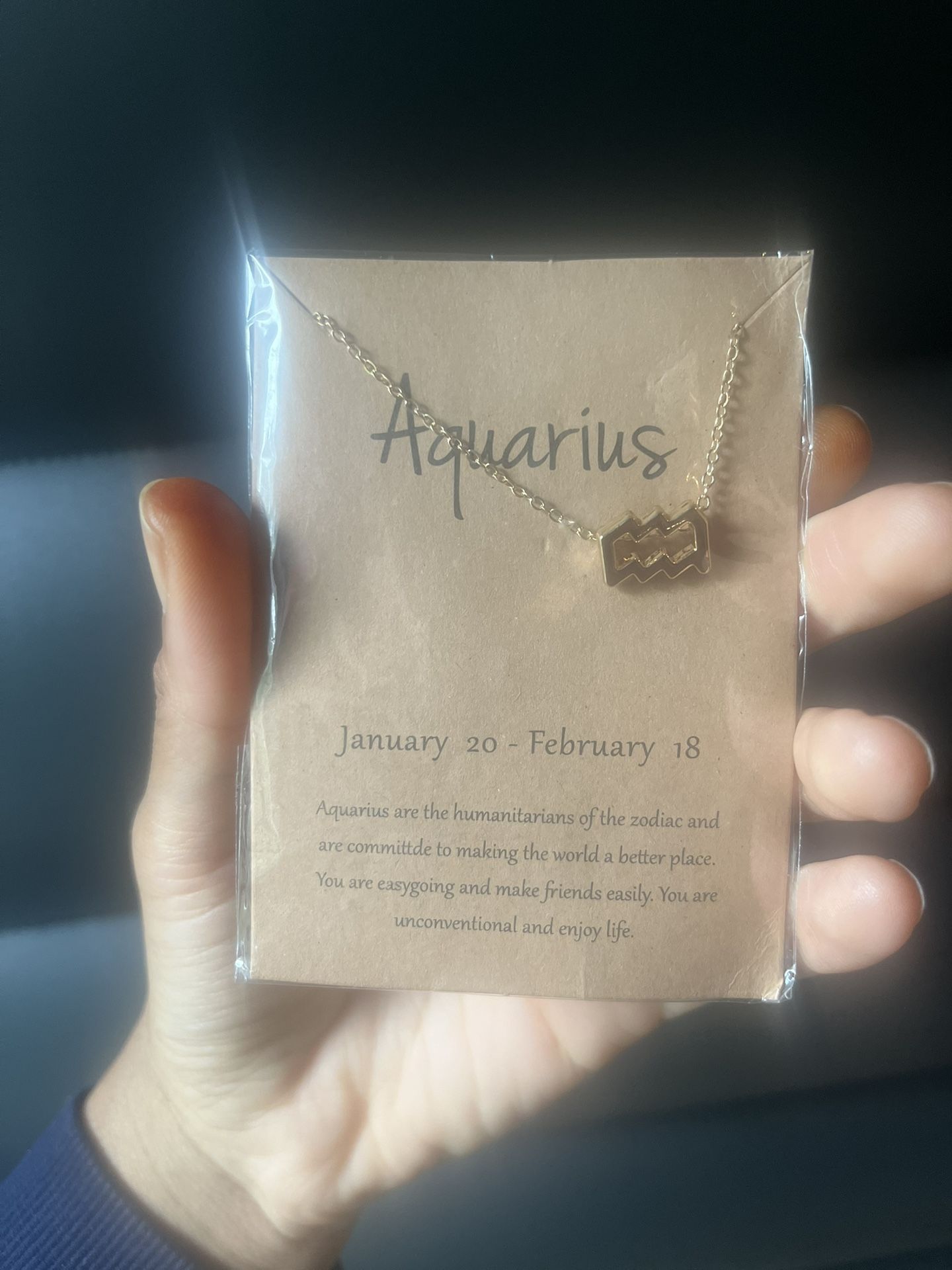 Aquarius Horoscope Necklace
