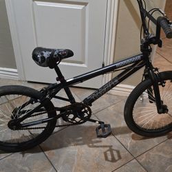 20-inch Bike 
