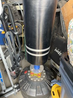 Punching bag with gloves