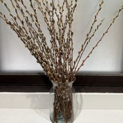 Glass Vase & Pussy Willow