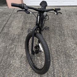 Giant STP Kids Bike