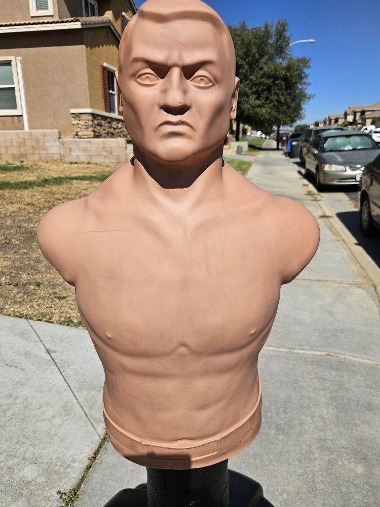 CENTURY PUNCHING BAG, BOXING BAG, CENTURY BOB