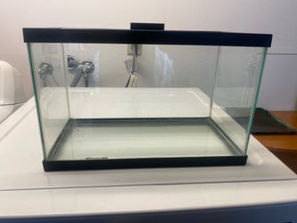 10 Gallon Fish Tank