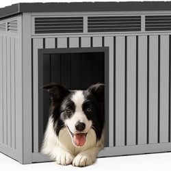 Dog house with top opening