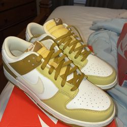 Brand New Nike Dunks Men’s 10