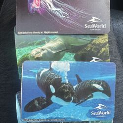 Seaworld San Diego Howl-O-Scream