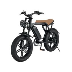 Electric Bike