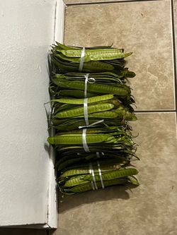 Comes in a bundle of Plants