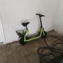 Electric Scooter 