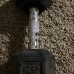 20 Pound Weight