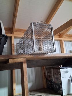 Cat trap