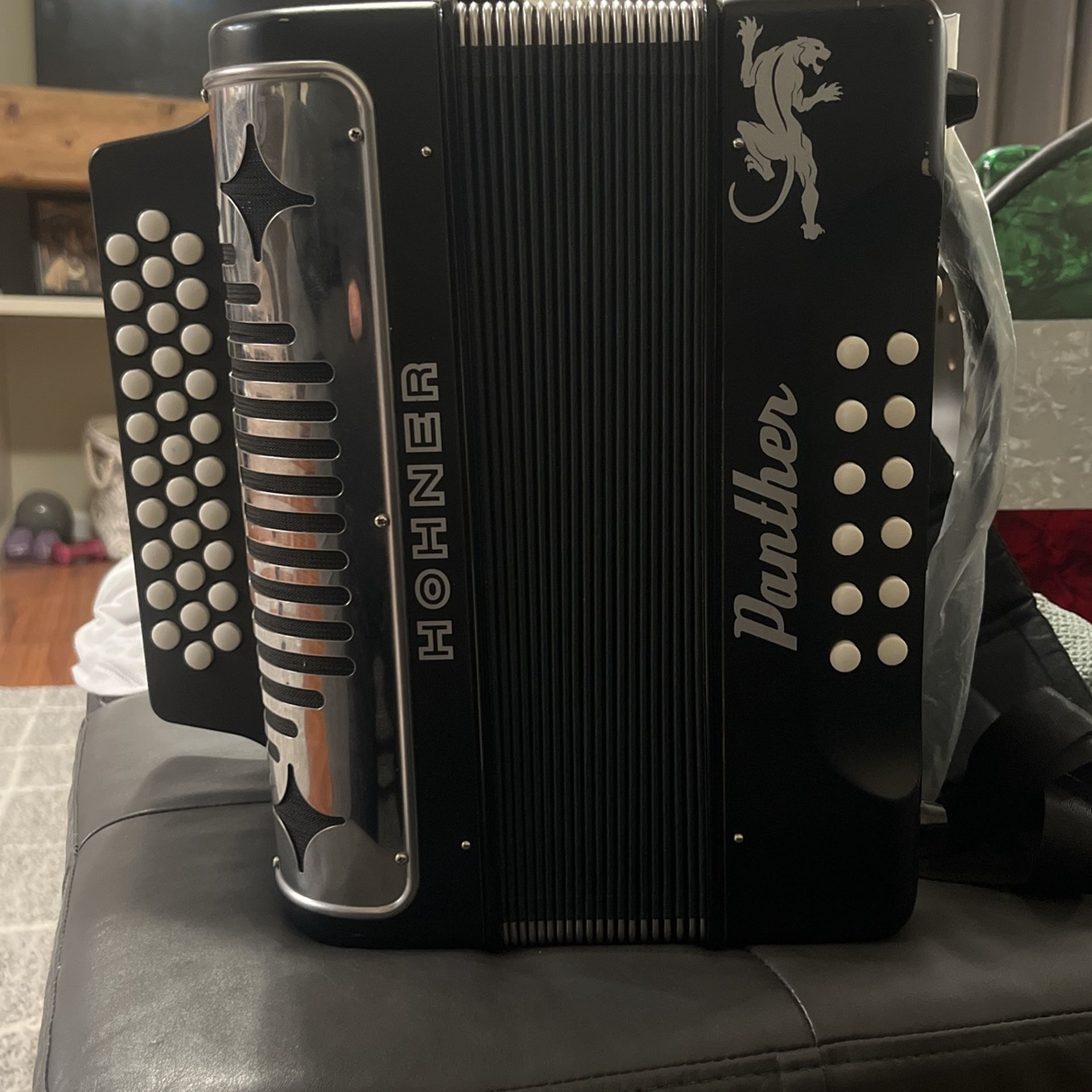 Hohner Panther Accordion