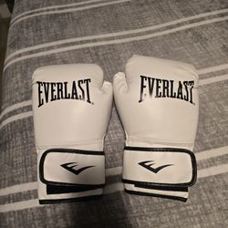 L/XL 16 Oz Everlast Gloves