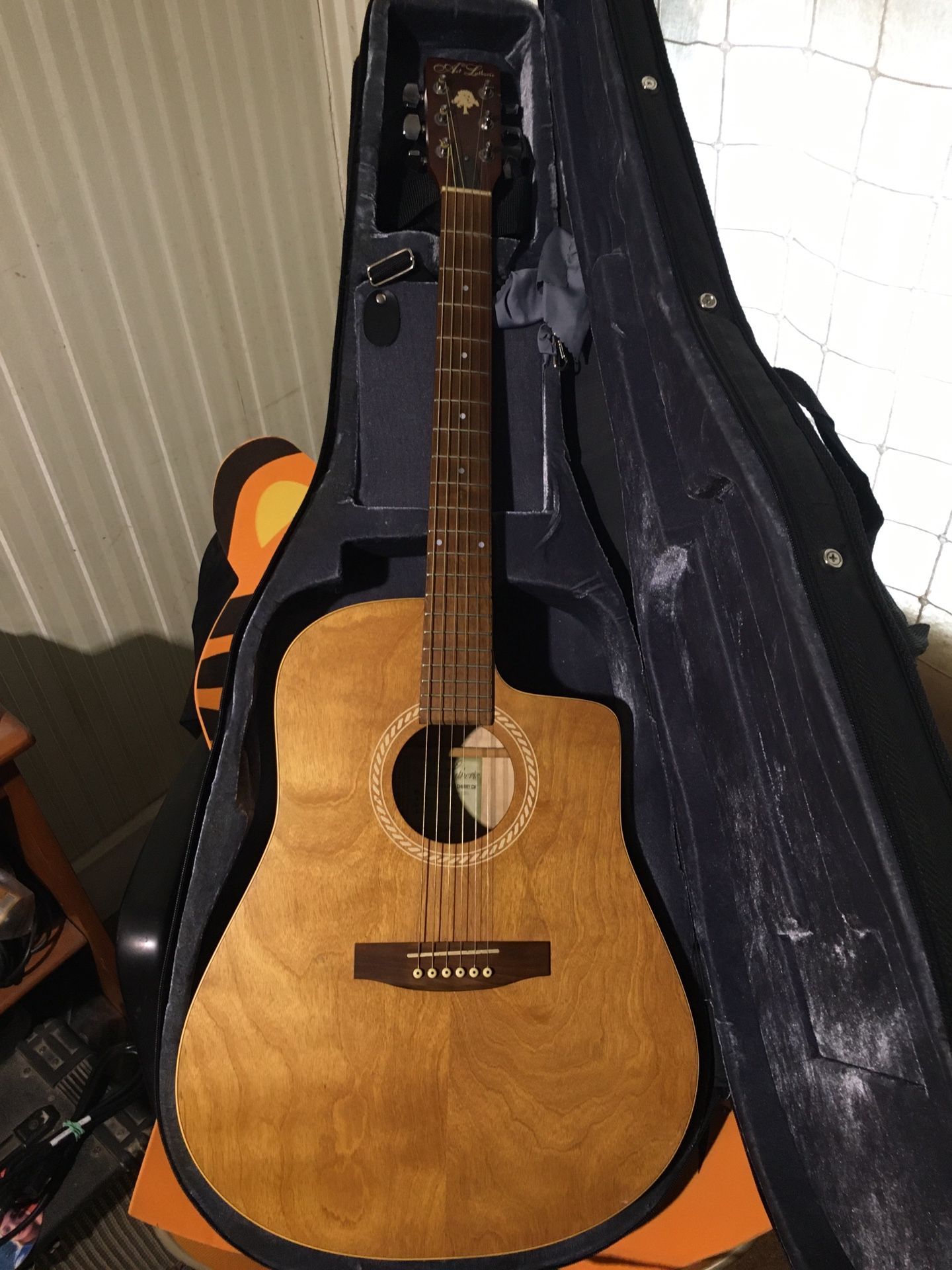 Georgous Canadian Made Acoustic Guitar