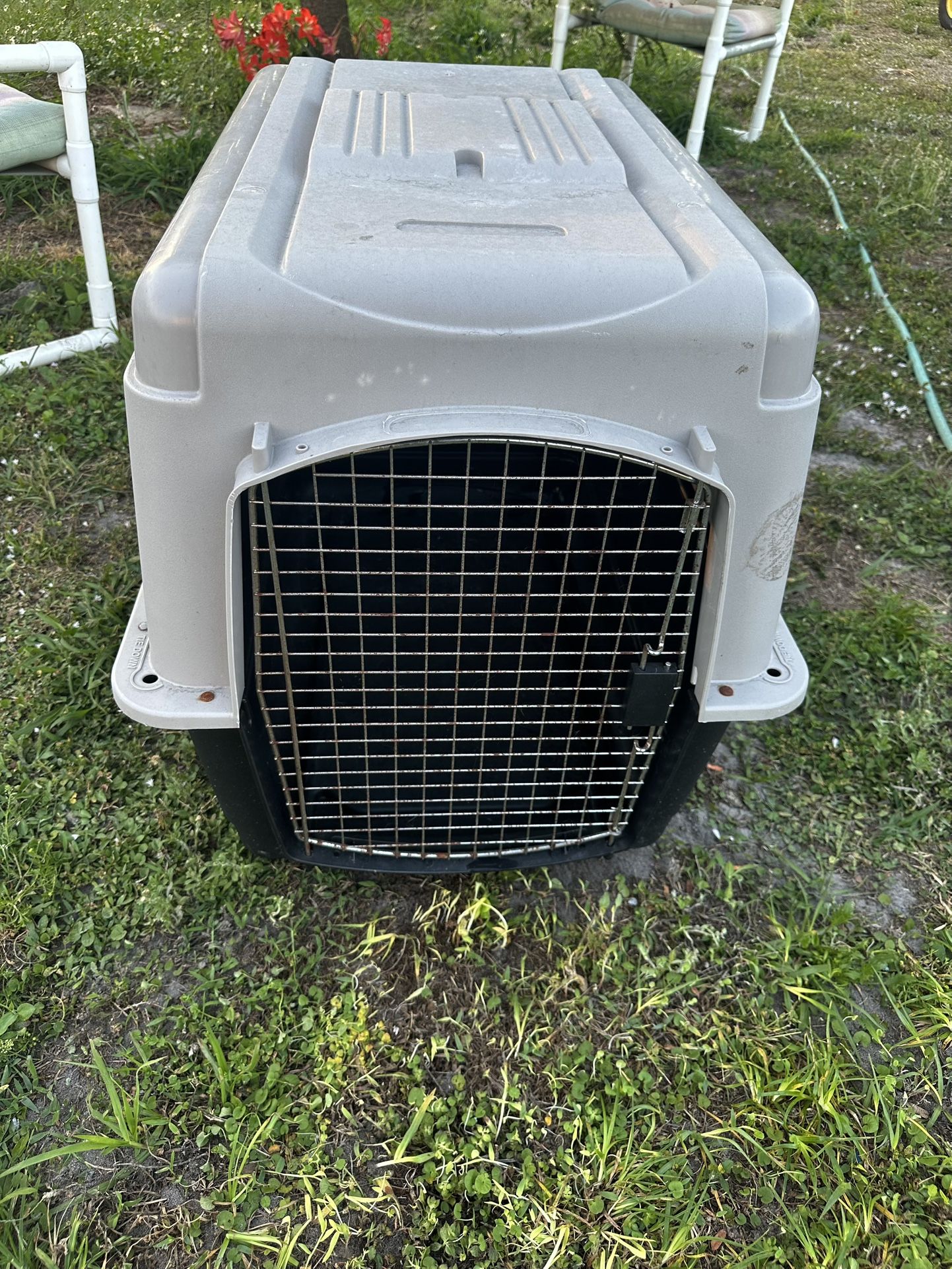 Dog Crate 