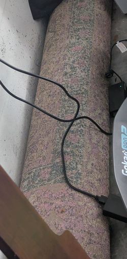 FREE rug