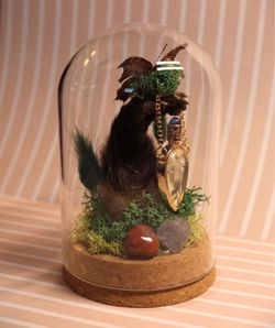 Opossum butterfly oddities art display