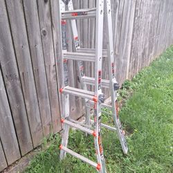 Little Giant Ladder