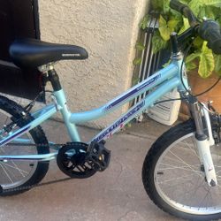 Light Blue Roadmaster Granite Peak 20” Youth Mountain Bike 