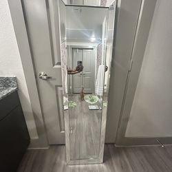 Body mirror