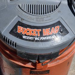 A perfectly fine little shop vac!