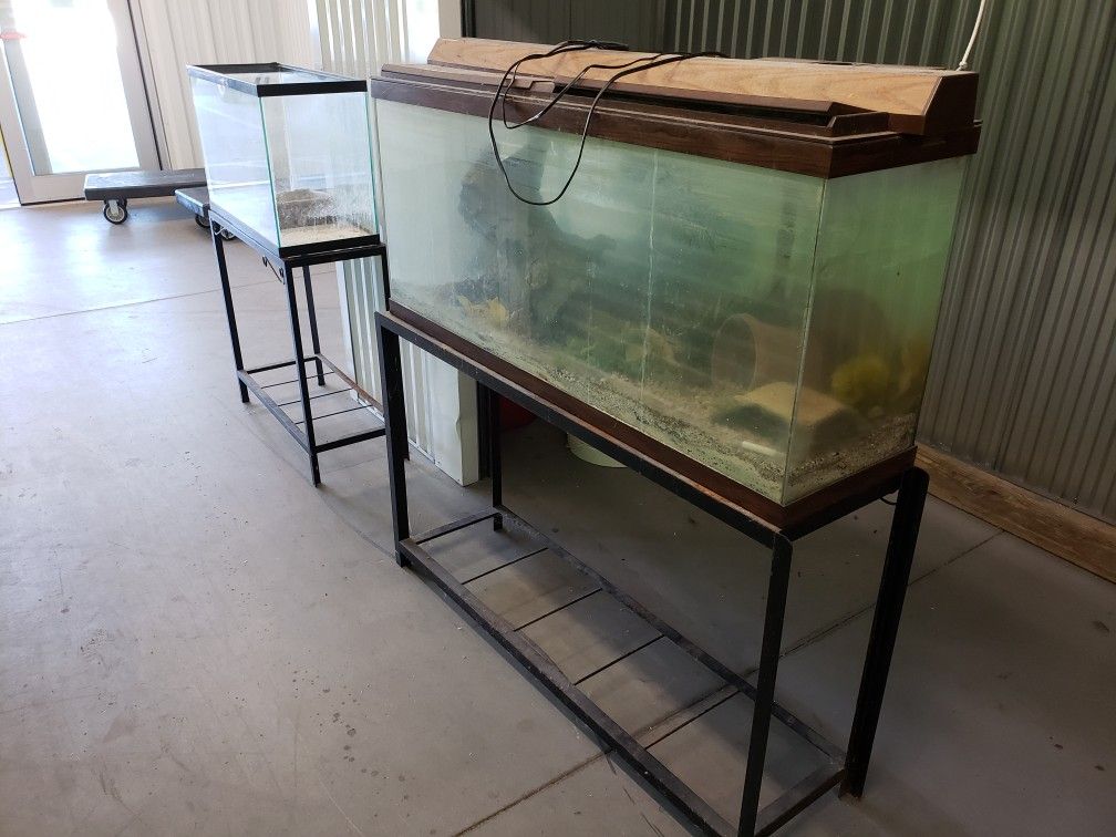 2 fish tanks with stand and accessories