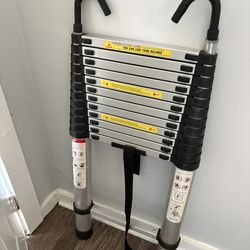 Telescoping Ladder $125