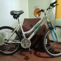 Pacific Evolution Mountain Bike
