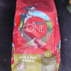 Purina One 8lb