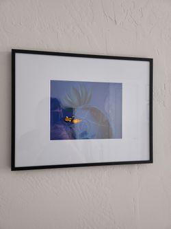 Spongebob Original Animation Cel