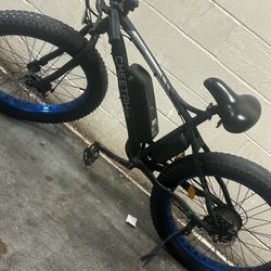 Cheetah E-bike