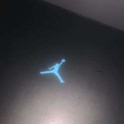 Air Jordan 11 gammas