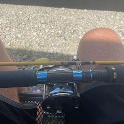 Eagle claw Fishing Pole