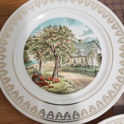 3 Seasons Plates
