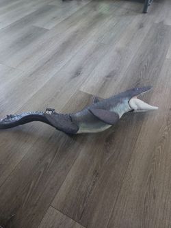 Dinosaur