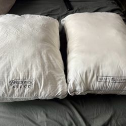 Beautyrest Black and Scott Living Pillows
