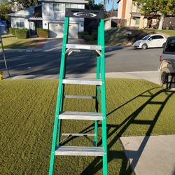 Werner 6 foot step ladder