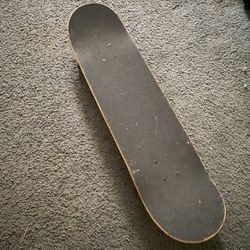 Skate Board 