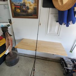 Roddy Hunter 6'6" Medium Fishing Pole 