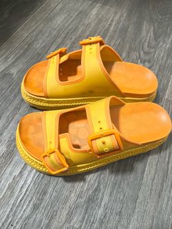 Coach slides